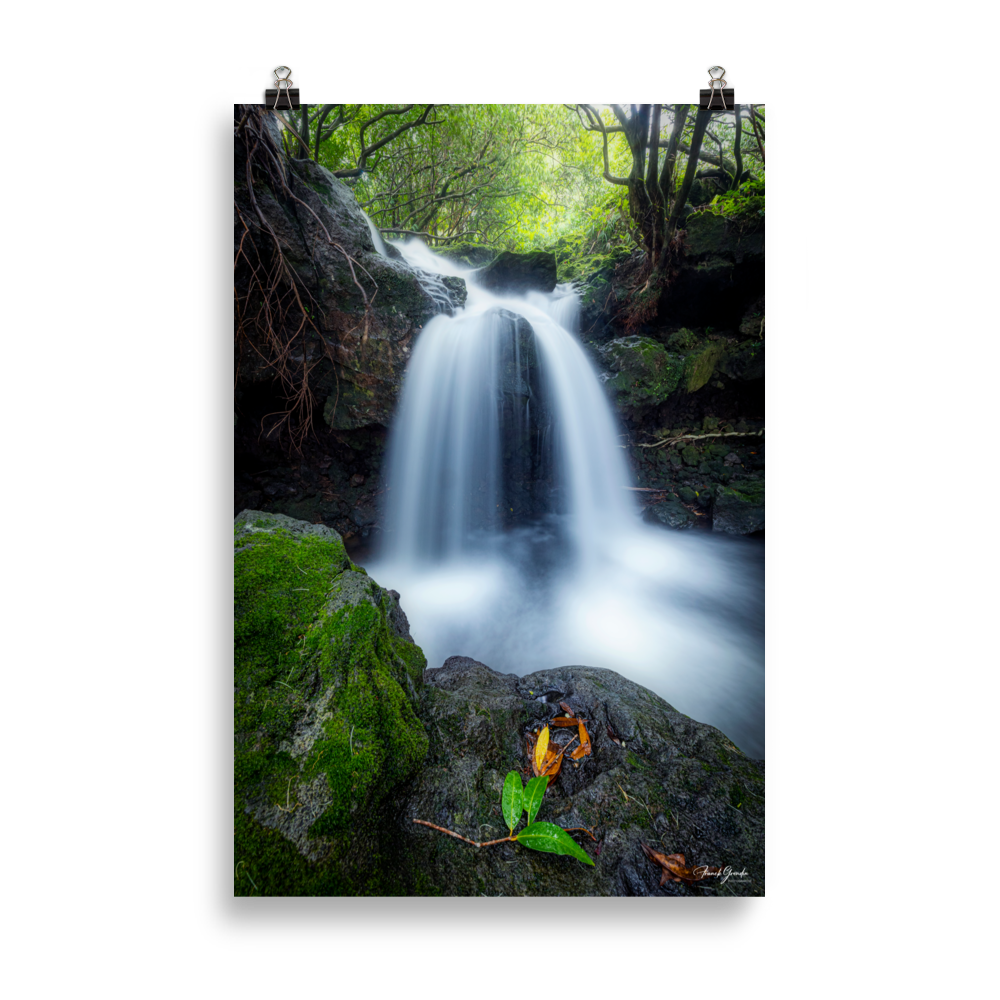 Affiche de La Réunion Cascade du Pont Rouge, Le Tremblet 61 × 91 cm / Sans cadre - photographie Franck Grondin