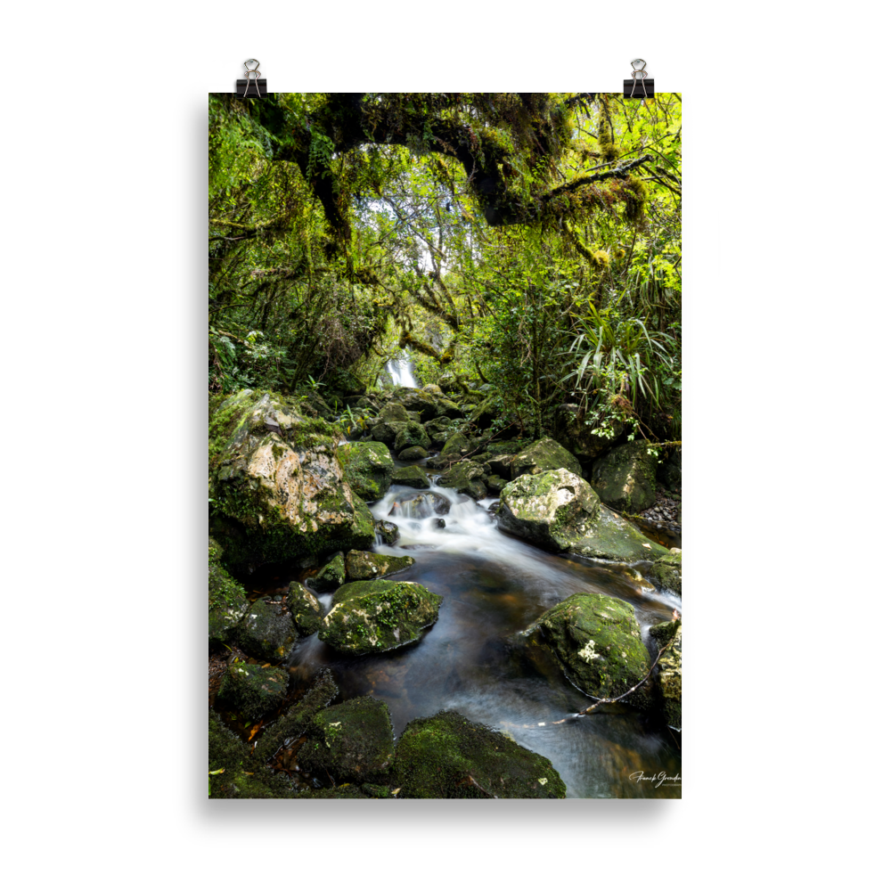 Affiche de La Réunion Forêt du Bras des Lianes 61 × 91 cm / Sans cadre - photographie Franck Grondin
