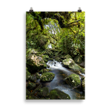 Affiche de La Réunion Forêt du Bras des Lianes 61 × 91 cm / Sans cadre - photographie Franck Grondin