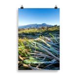 Affiche de La Réunion Givre sur les Hauts du Volcan 61 × 91 cm / Sans cadre - photographie Franck Grondin