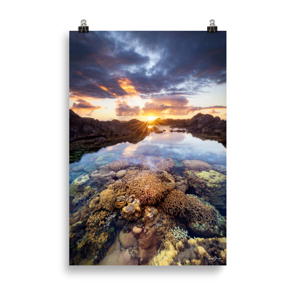 Affiche de La Réunion Coraux de la Souris Blanche 61 × 91 cm / Sans cadre - photographie Franck Grondin