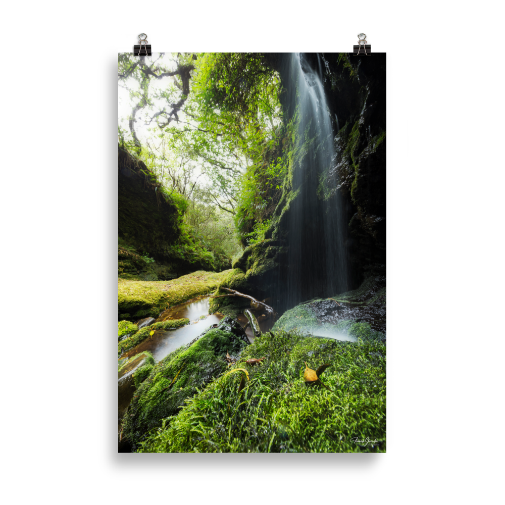 Affiche de La Réunion Cascade de la Ravine Citron Galet 61 × 91 cm / Sans cadre - photographie Franck Grondin
