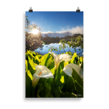 Affiche de La Réunion Arums du Piton de l'Eau au Crépuscule 61 × 91 cm / Sans cadre - photographie Franck Grondin
