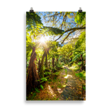 Affiche de La Réunion Le Chemin du Trou de Fer 61 × 91 cm / Sans cadre - photographie Franck Grondin