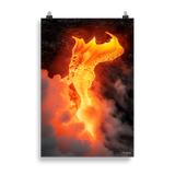 Affiche de La Réunion Robe de Feu, Février 2026 61 × 91 cm / Sans cadre - photographie Franck Grondin
