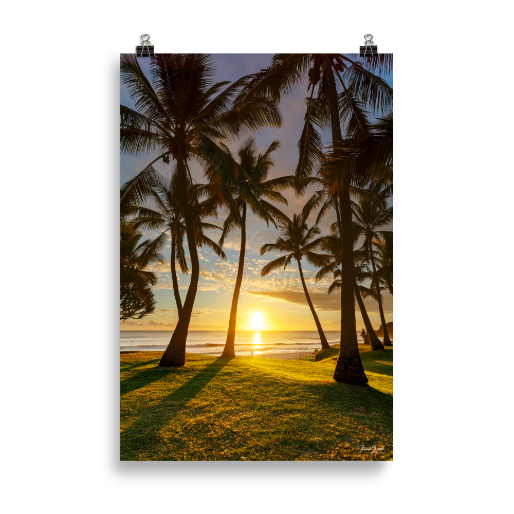 Affiche de La Réunion Cocotiers de Grande Anse 61 × 91 cm / Sans cadre - photographie Franck Grondin