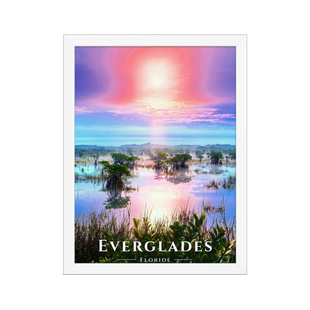 Poster Everglades Blanc 30 × 40 cm