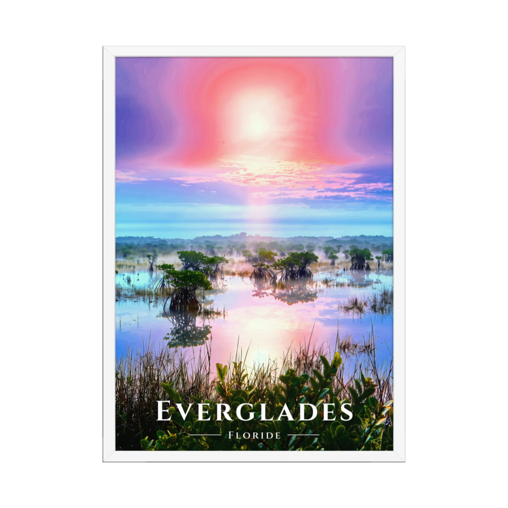 Poster Everglades Blanc 50 × 70 cm