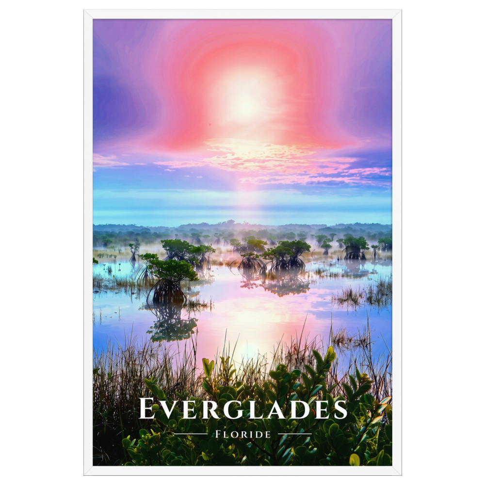 Poster Everglades Blanc 61 × 91 cm