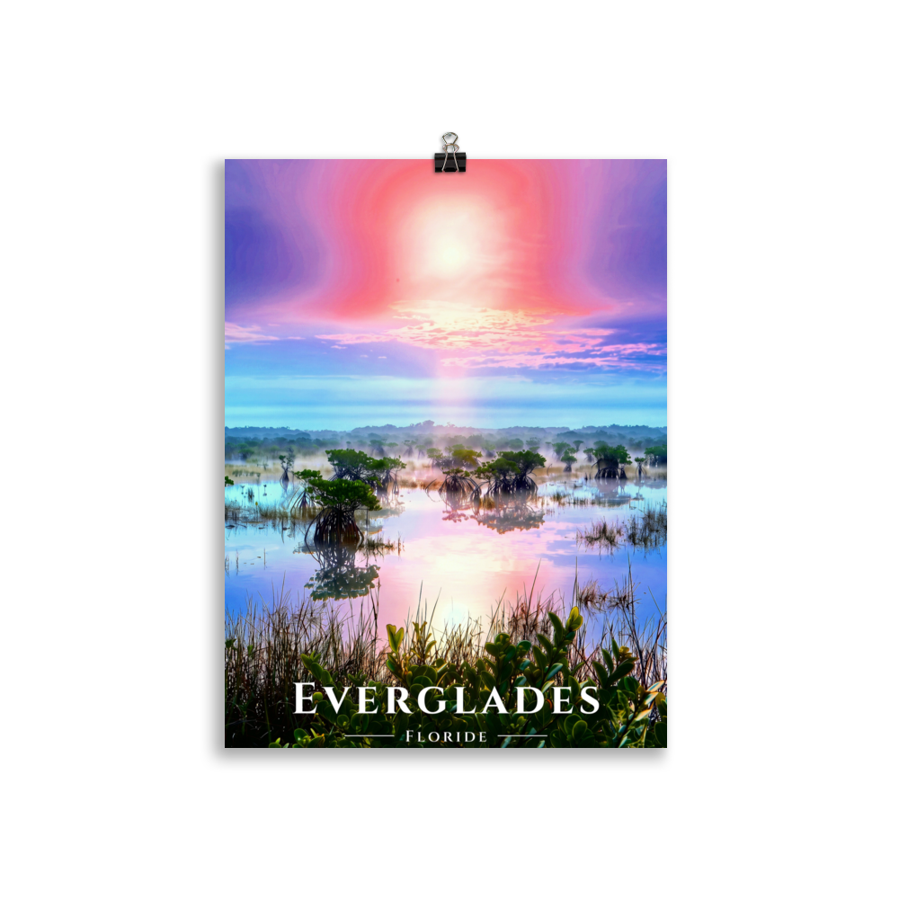 Poster Everglades Sans cadre 30 × 40 cm