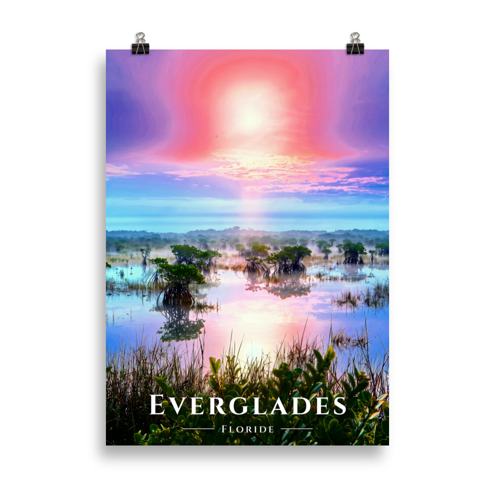 Poster Everglades Sans cadre 50 × 70 cm