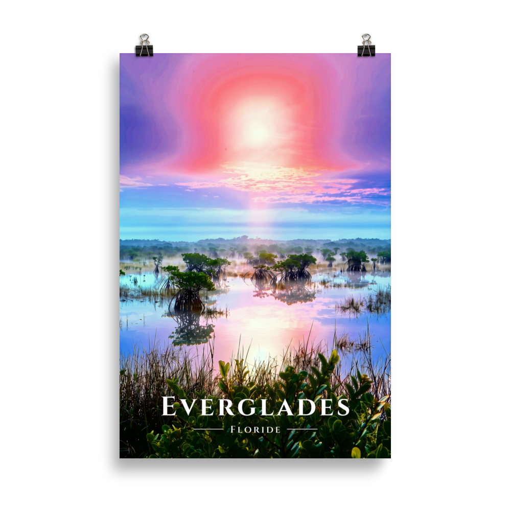 Poster Everglades Sans cadre 61 × 91 cm
