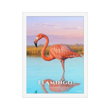 Affiche de Floride Flamingo 30 × 40 cm / Blanc - Univile Floride