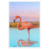 Affiche de Floride Flamingo 61 × 91 cm / Blanc - Univile Floride