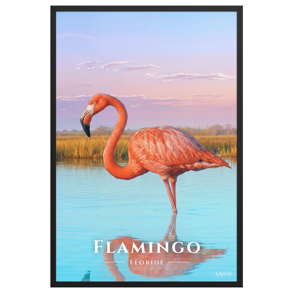 Affiche de Floride Flamingo 61 × 91 cm / Noir - Univile Floride