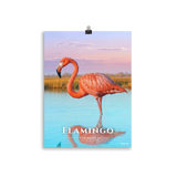 Affiche de Floride Flamingo 30 × 40 cm / Sans cadre - Univile Floride