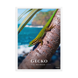 Affiche de La Réunion Gecko vert de Manapany 50 × 70 cm / Blanc - Univile La Réunion