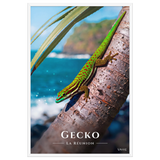 Affiche de La Réunion Gecko vert de Manapany 61 × 91 cm / Blanc - Univile La Réunion
