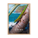 Affiche de La Réunion Gecko vert de Manapany 50 × 70 cm / Oak - Univile La Réunion
