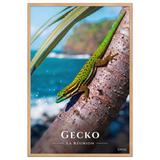 Affiche de La Réunion Gecko vert de Manapany 61 × 91 cm / Oak - Univile La Réunion