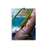 Affiche de La Réunion Gecko vert de Manapany 30 × 40 cm / Sans cadre - Univile La Réunion