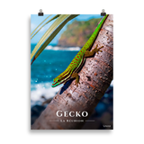 Affiche de La Réunion Gecko vert de Manapany 50 × 70 cm / Sans cadre - Univile La Réunion