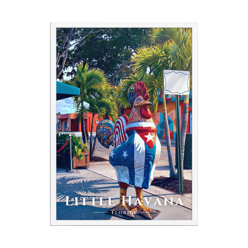 Poster Little Havana Blanc 50 × 70 cm