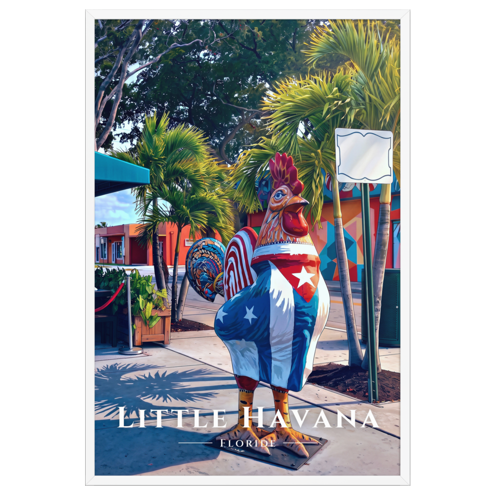Poster Little Havana Blanc 61 × 91 cm