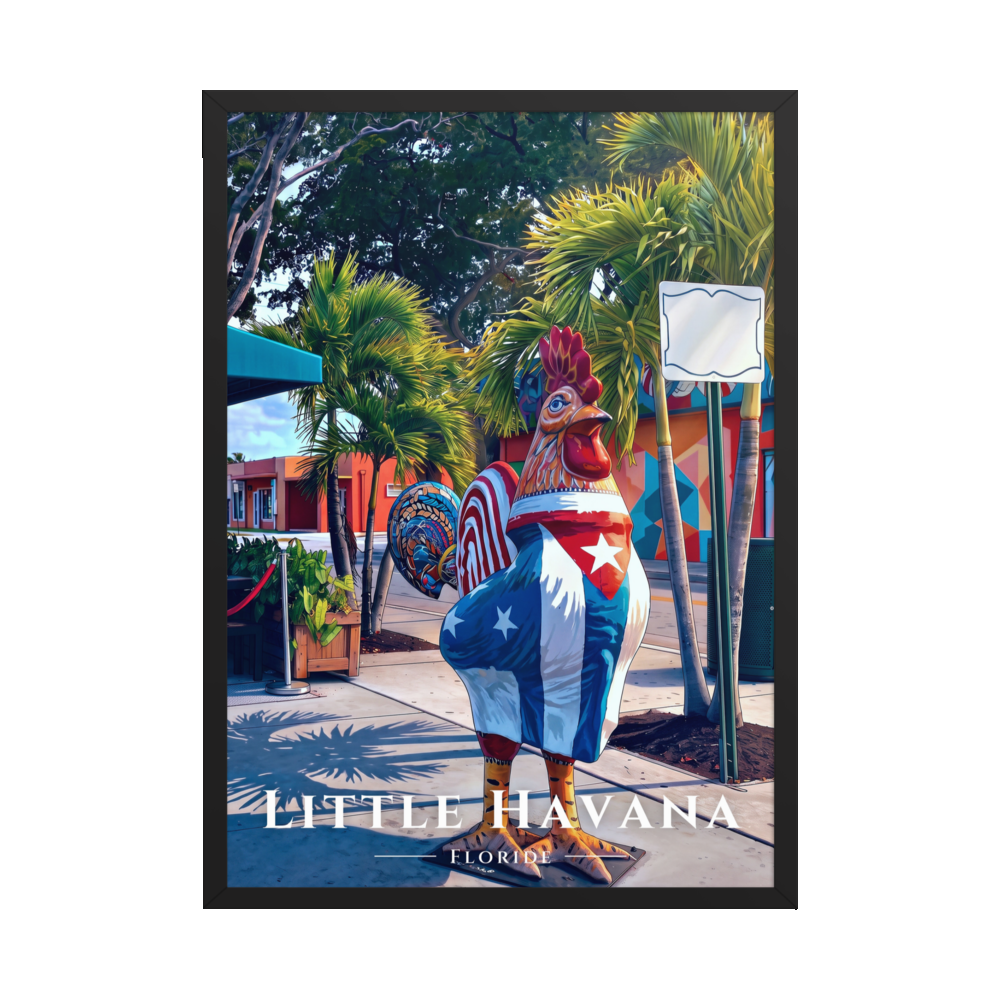 Poster Little Havana Noir 50 × 70 cm
