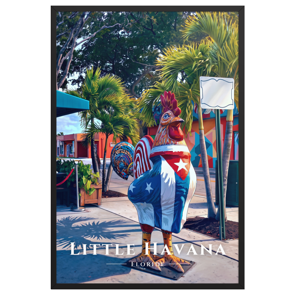 Poster Little Havana Noir 61 × 91 cm
