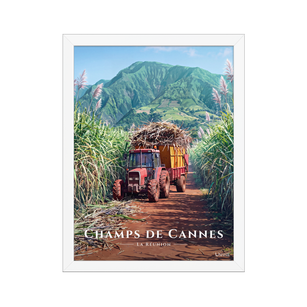 Affiche de La Réunion Tracteur dans les Champs de Cannes 30 × 40 cm / Blanc - Univile La Réunion
