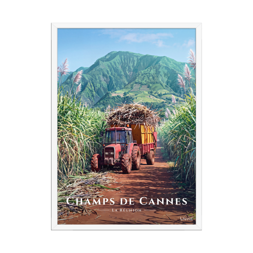 Affiche de La Réunion Tracteur dans les Champs de Cannes 50 × 70 cm / Blanc - Univile La Réunion