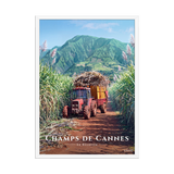 Affiche de La Réunion Tracteur dans les Champs de Cannes 50 × 70 cm / Blanc - Univile La Réunion