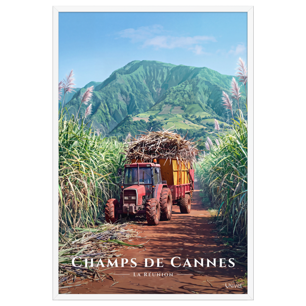 Affiche de La Réunion Tracteur dans les Champs de Cannes 61 × 91 cm / Blanc - Univile La Réunion