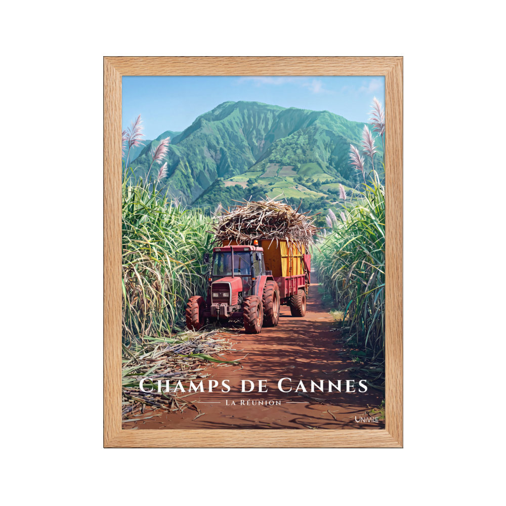 Affiche de La Réunion Tracteur dans les Champs de Cannes 30 × 40 cm / Oak - Univile La Réunion
