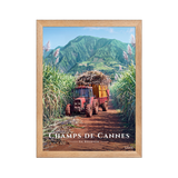 Affiche de La Réunion Tracteur dans les Champs de Cannes 30 × 40 cm / Oak - Univile La Réunion