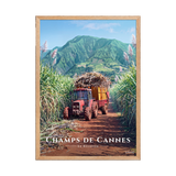 Affiche de La Réunion Tracteur dans les Champs de Cannes 50 × 70 cm / Oak - Univile La Réunion
