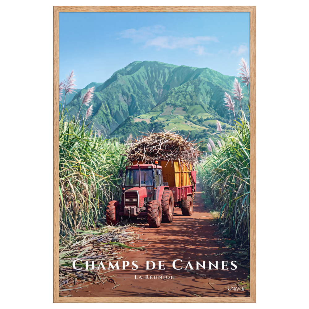 Affiche de La Réunion Tracteur dans les Champs de Cannes 61 × 91 cm / Oak - Univile La Réunion