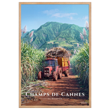 Affiche de La Réunion Tracteur dans les Champs de Cannes 61 × 91 cm / Oak - Univile La Réunion