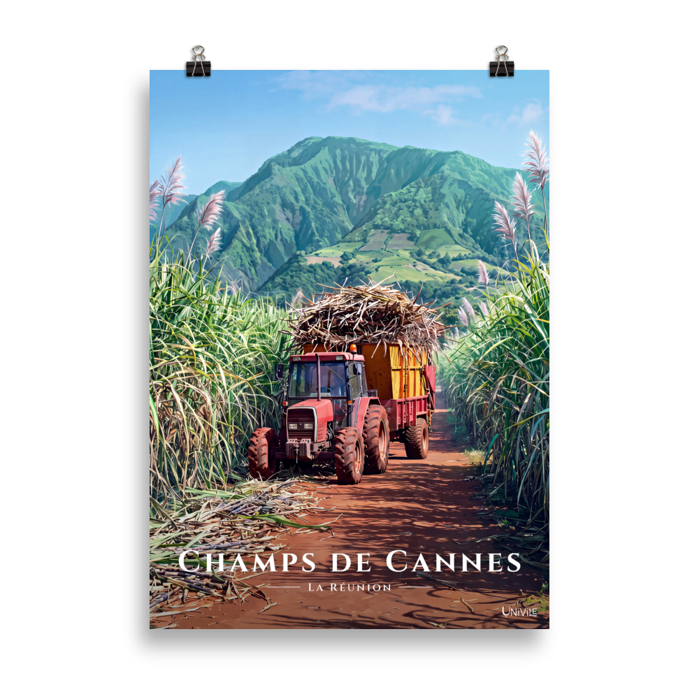 Affiche de La Réunion Tracteur dans les Champs de Cannes 50 × 70 cm / Sans cadre - Univile La Réunion